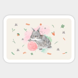 Black Netherland Dwarf Rabbit with cute Ball Sticker